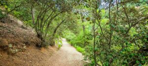 Agia Eirini hiking route