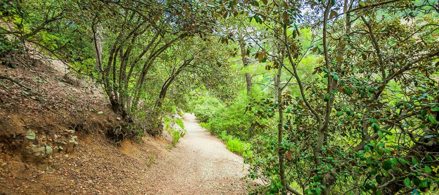 Agia Eirini hiking route