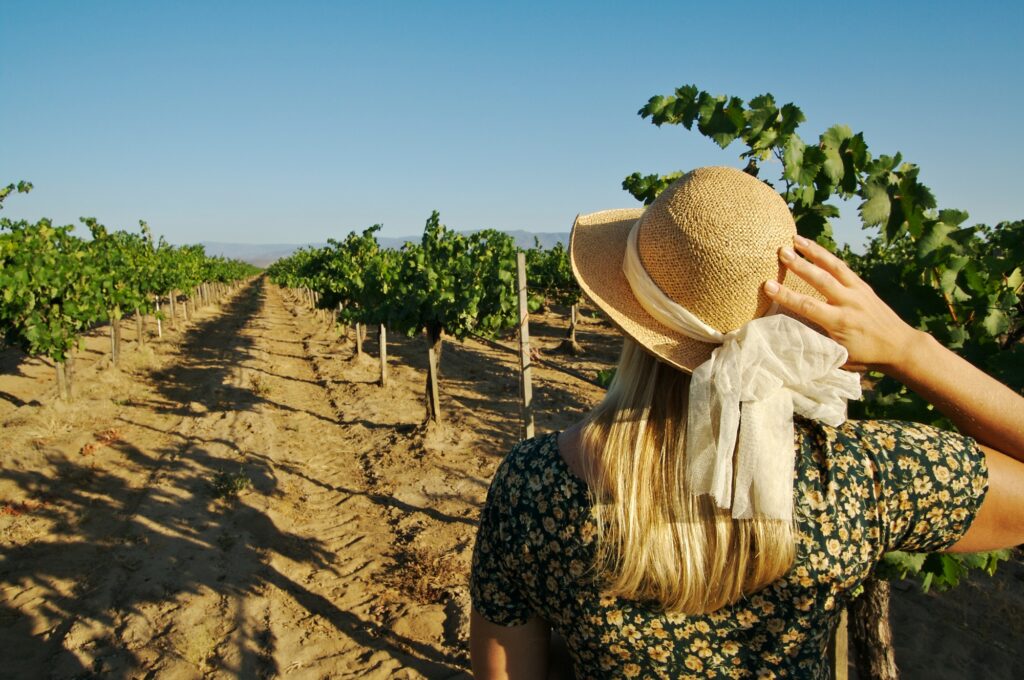 exploring wine routes in Cyprus