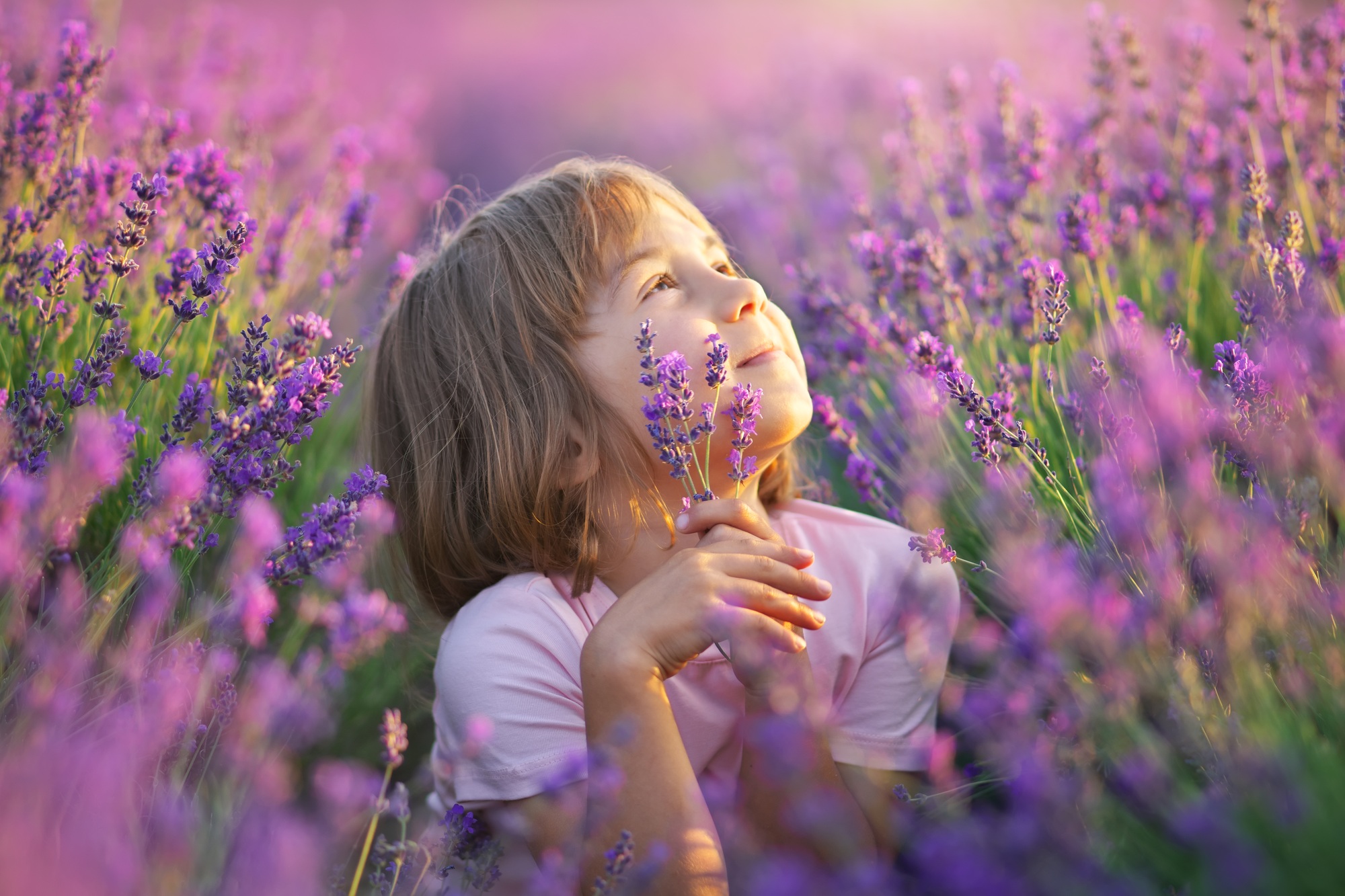 Breathe in the Amazing Smell of the Lavender Festival in Platres 2025