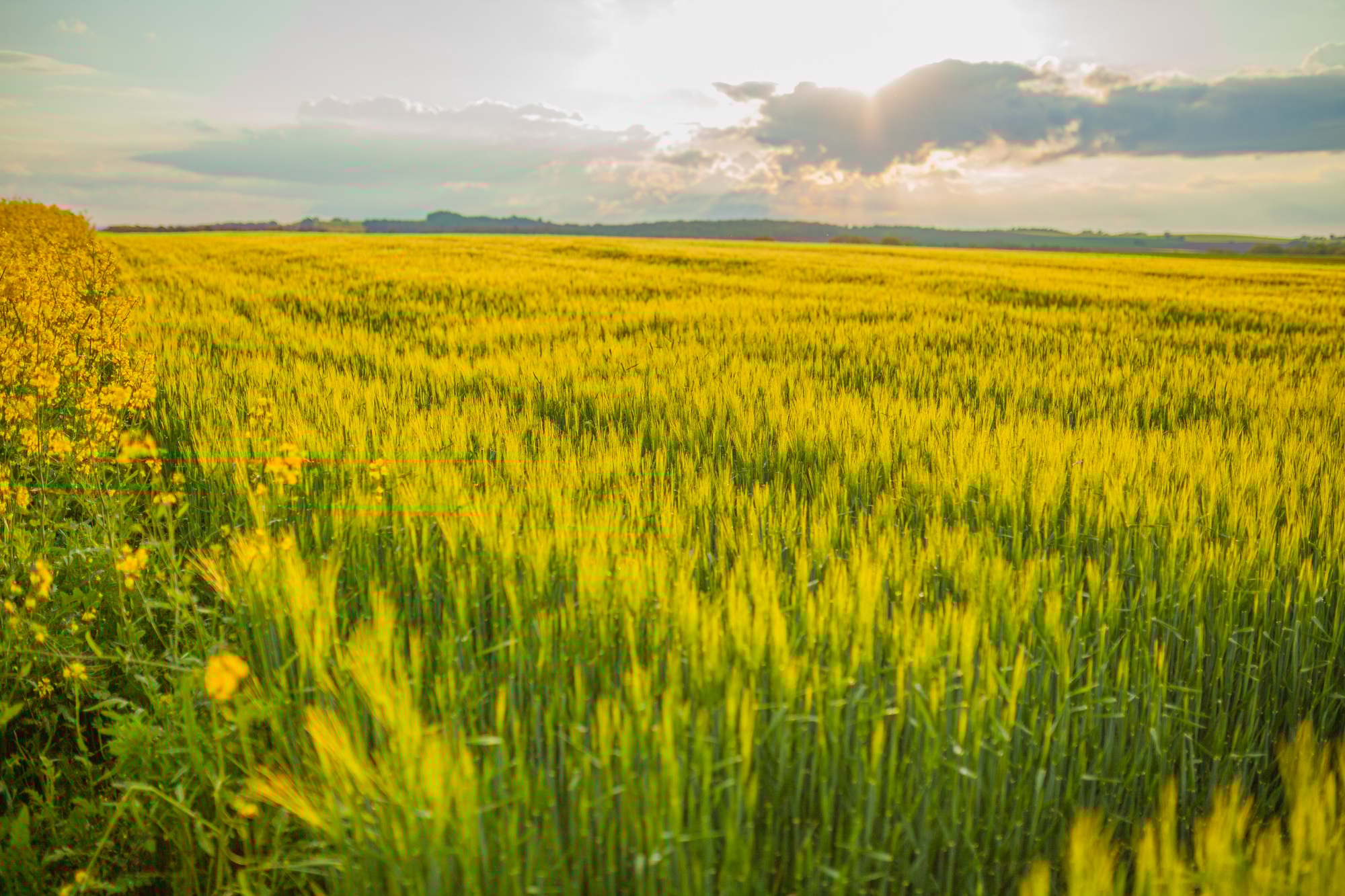 Agricultural Festival: Rich Flavors, Spirit, Heart, and Traditions of Farmakas