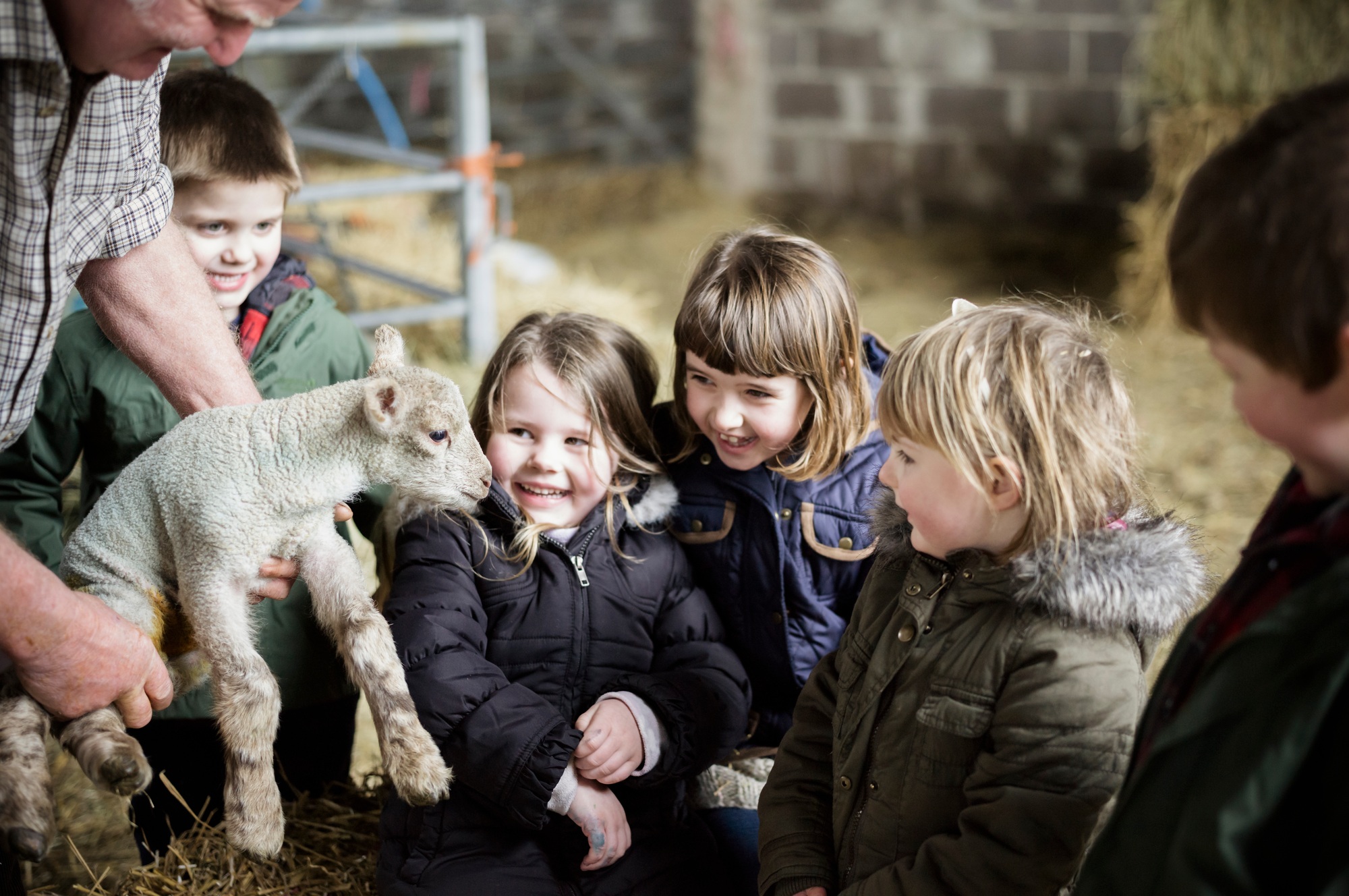 Experience the Authentic Shepherd’s Fair in Pachna Village!