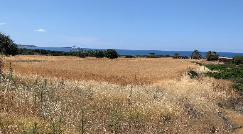 adonis hiking route