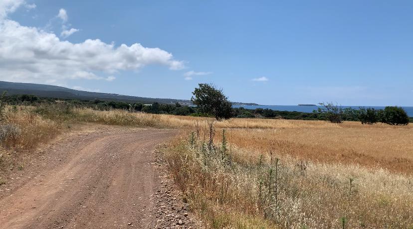 adonis hiking route